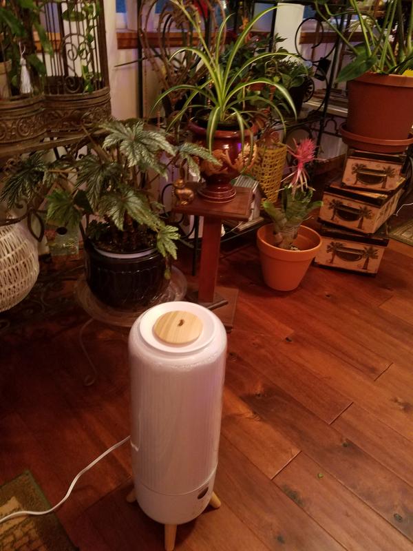 Humidifier in plant room