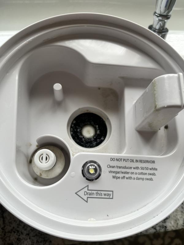 Molds and can’t clean inside