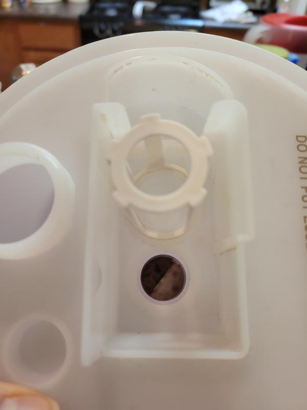 Where the mold is located