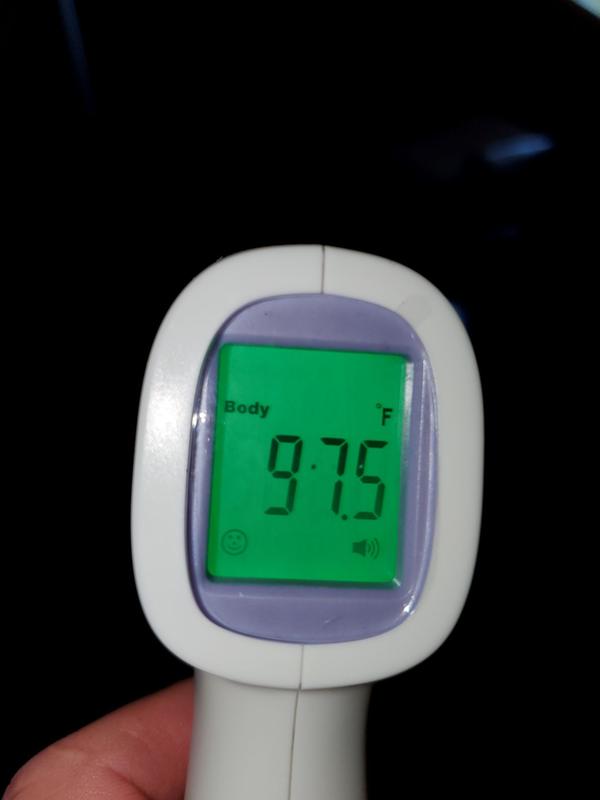 Touchless Non-Contact Infrared Thermometer - Homedics