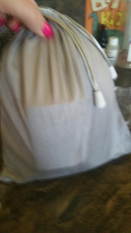 Iron and steamer cary case