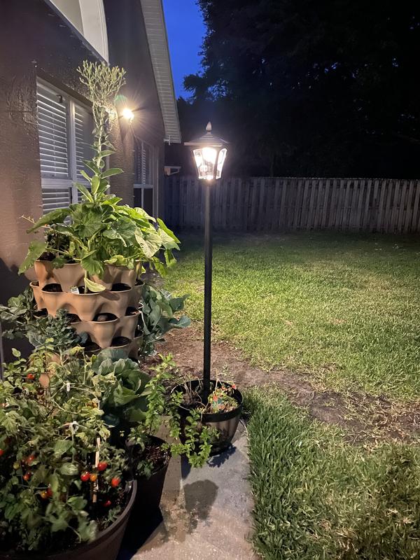 6ft solar deals lamp post