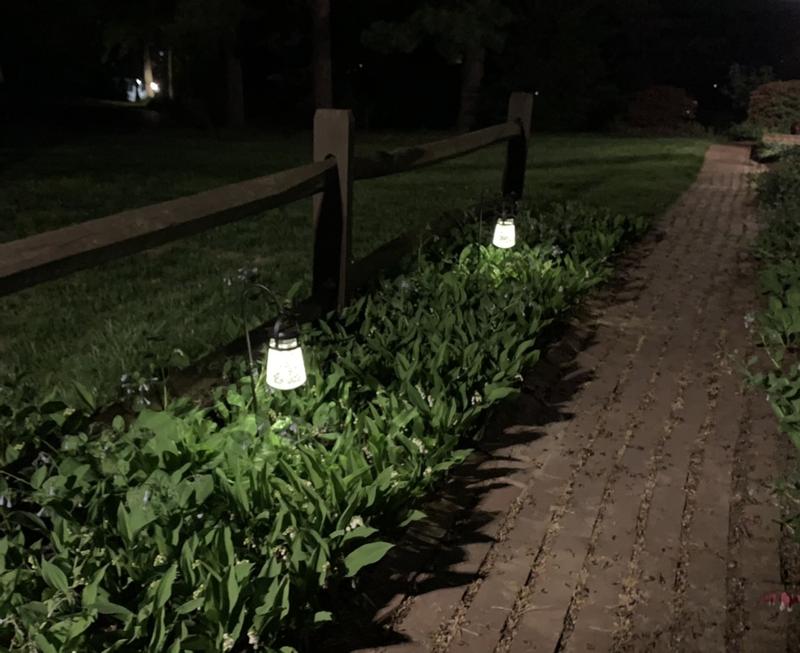 Pic of them lit up with my driveway light also on.