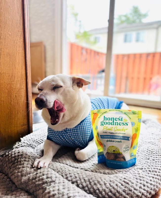 Honest to Goodness Plant Snacks Golden Years Blueberry & Carrot