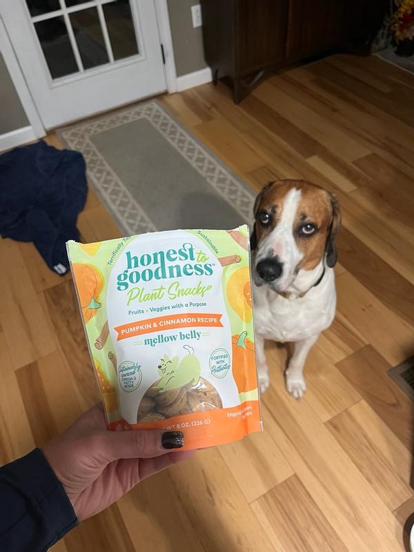 Honest to Goodness Plant Snacks Mellow Belly Pumpkin & Cinnamon