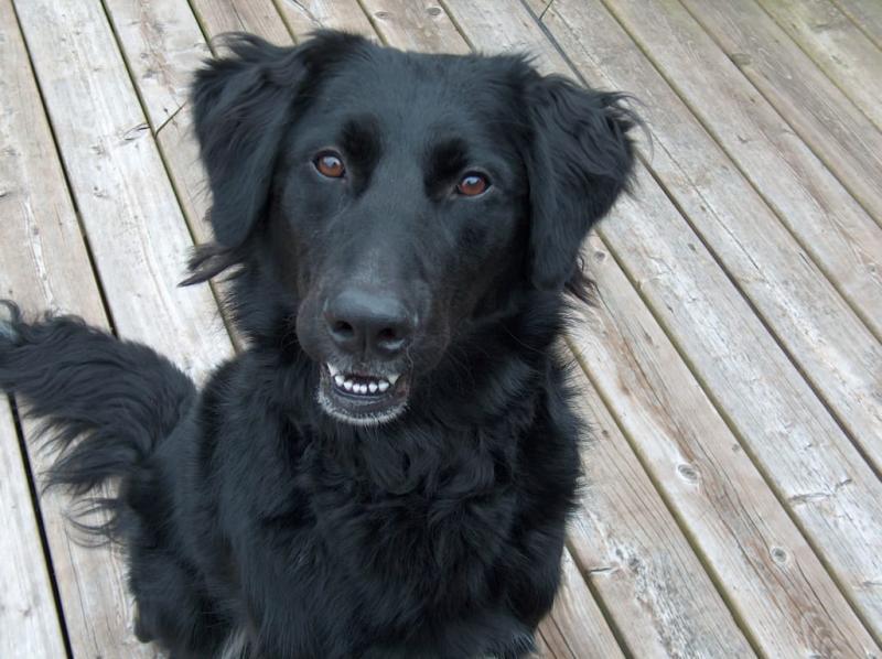 Tucker the Hairy Monster