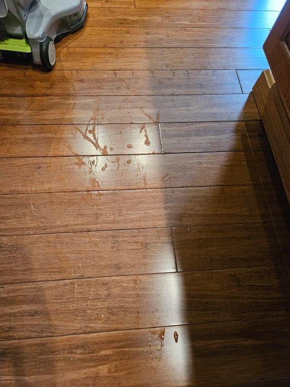 FloorMate Deluxe Hard Floor Cleaner – Hoover