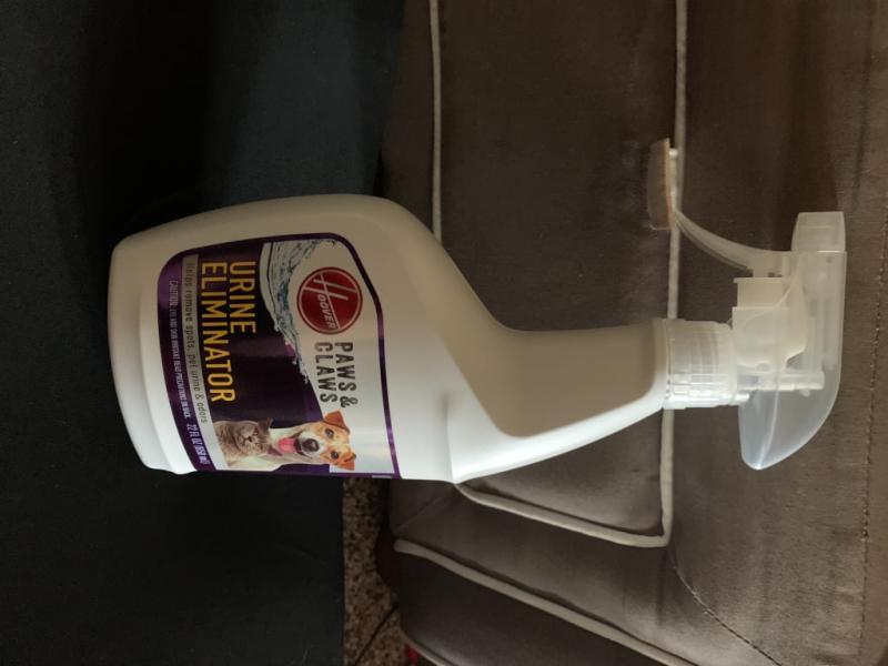 Photo - commentaire&nbsp;8.