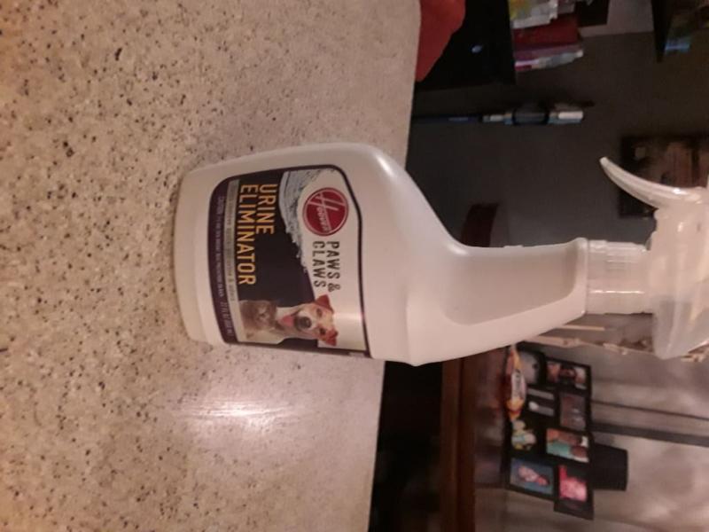 Photo - commentaire 3.