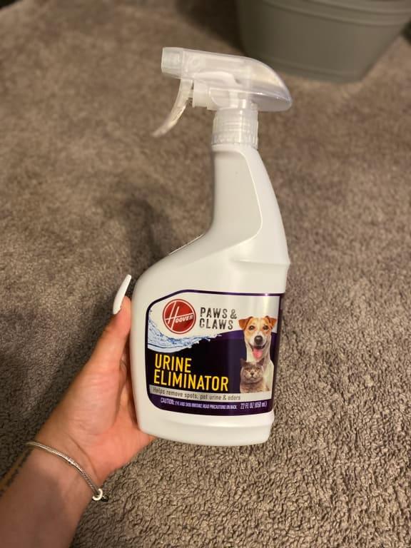 Photo - commentaire 1.