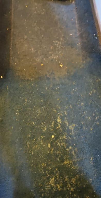 Before and after results