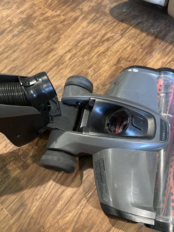 Photo - commentaire 1.