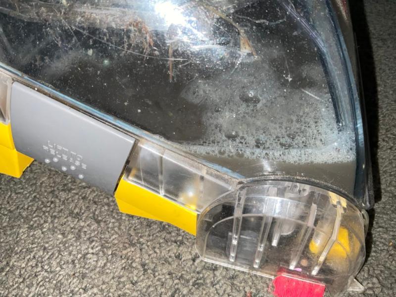 The yucky dirt carpet water!