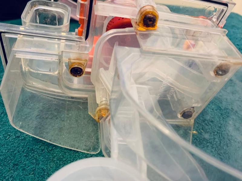 Screws are rusted after two uses