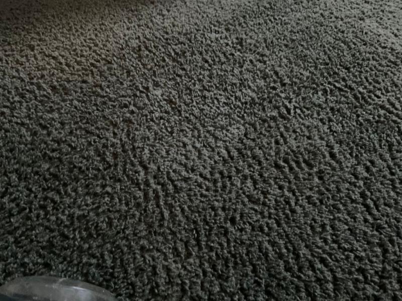 The cleaner carpet.