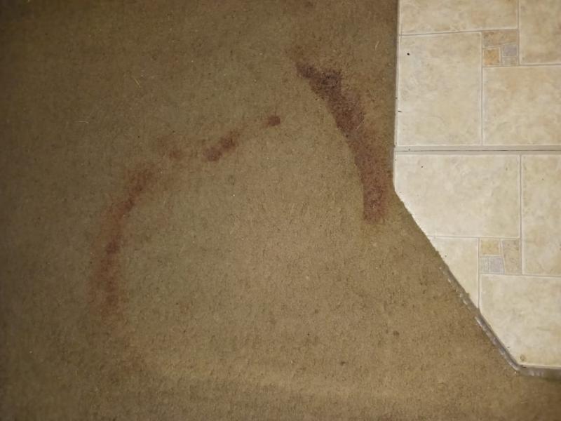 Blood stain from my dog's cut paw