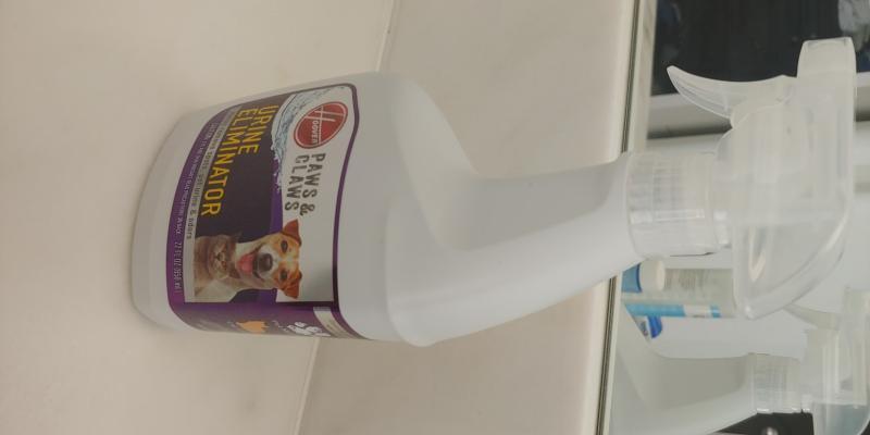 Photo - commentaire 7.