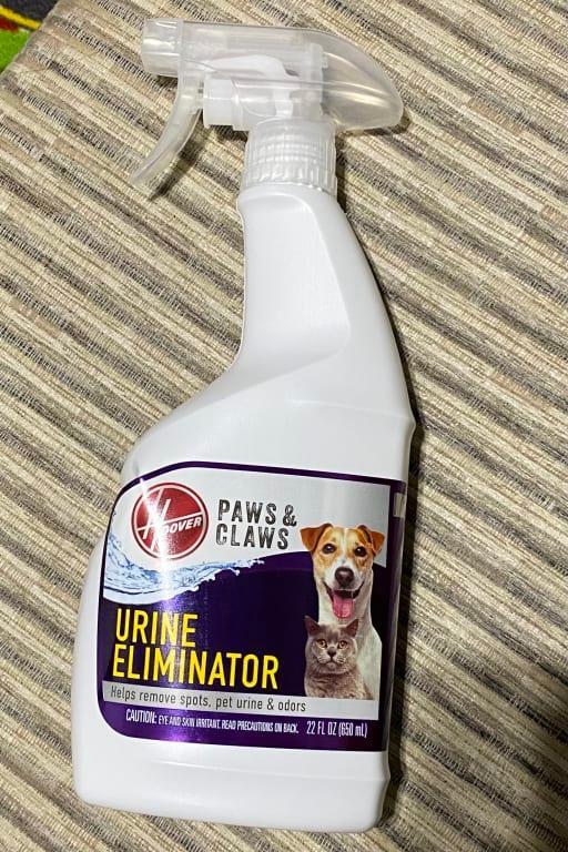 Photo - commentaire 4.