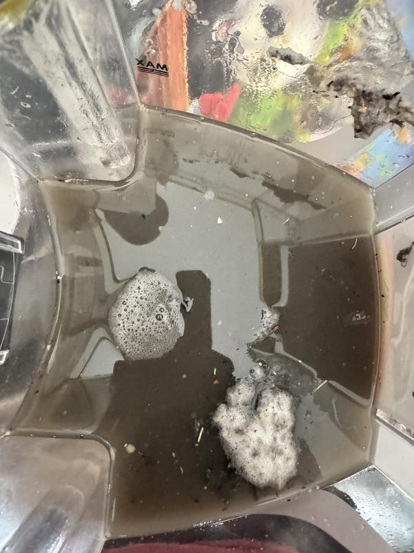 Area rug but no before picture! Carpet before and after and that water was gross both times!