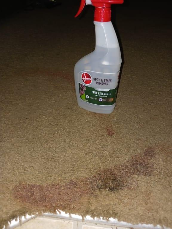 Pure Essentials Pre-Treat solution used first.