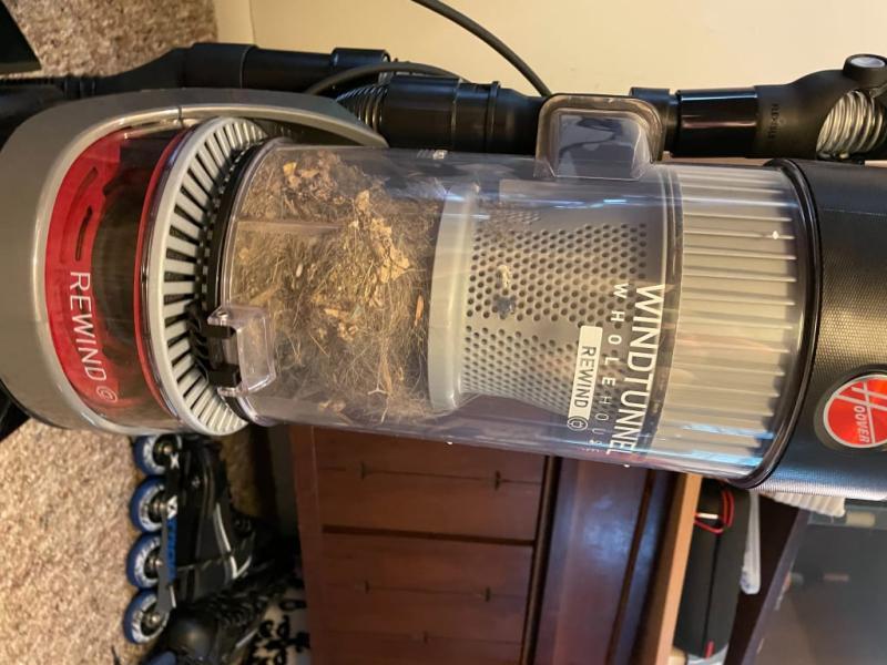 After vacuuming my living room!