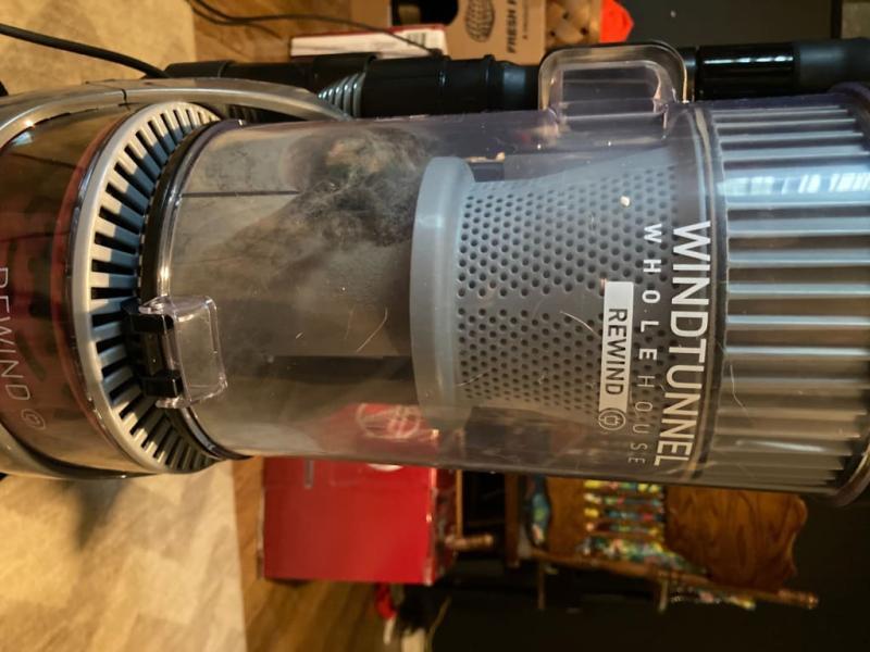 Dirt cup after cleaning one small rug!