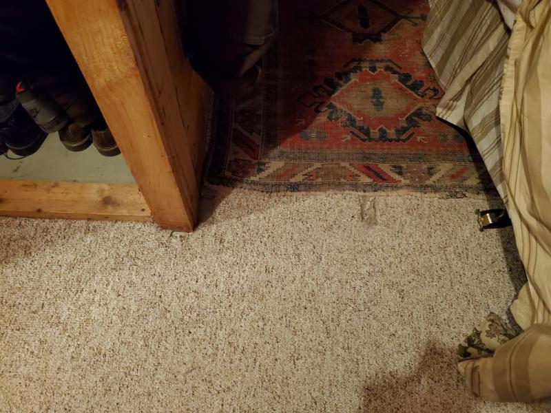 After. No presoak - just cleaner and water in Spot Cleaner