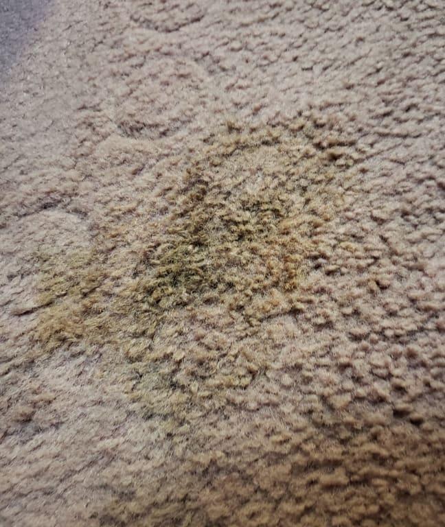 Stain before applying solution