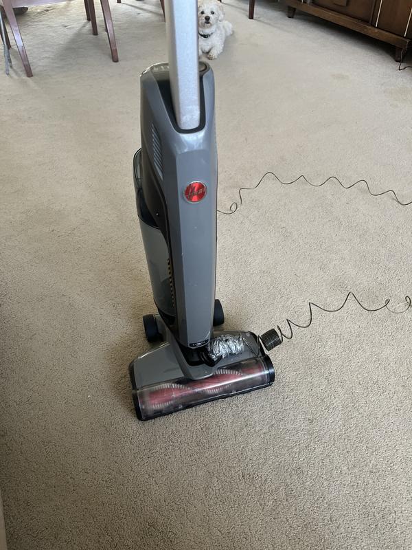 Photo - commentaire 3.