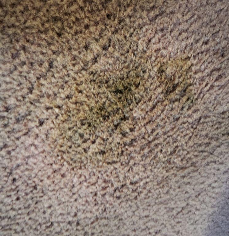 Stain after using the CleanSlate.