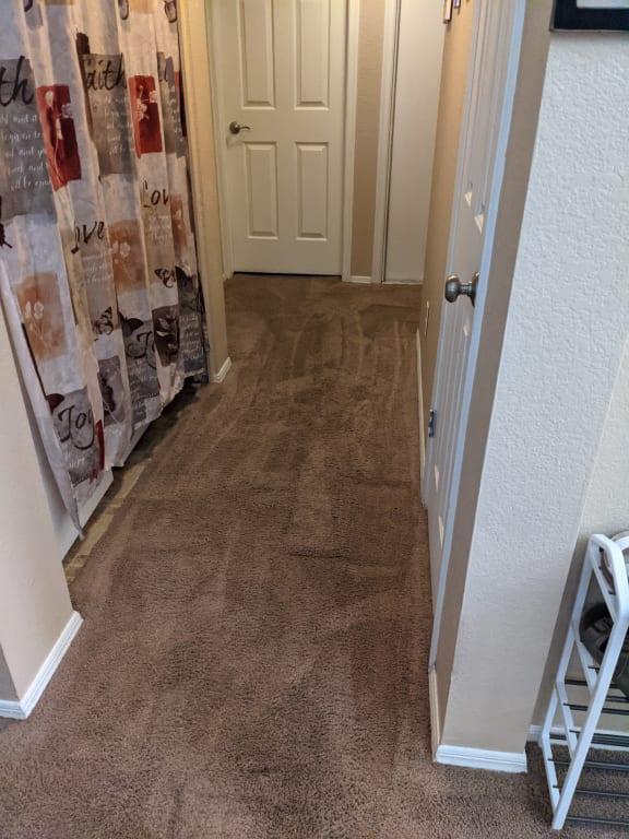 Hoover® PowerDash™ Pet Compact Carpet Cleaner in White Bed Bath and