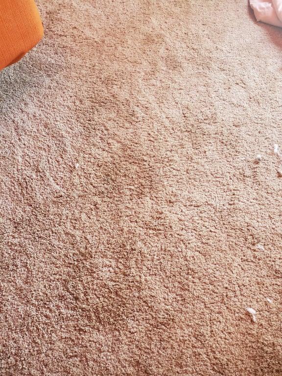 Hoover Power Scrub Deluxe Carpet Cleaner Machine, Upright Shampooer