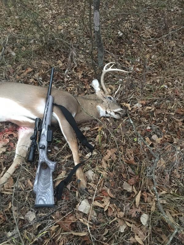 Taken out of this blind