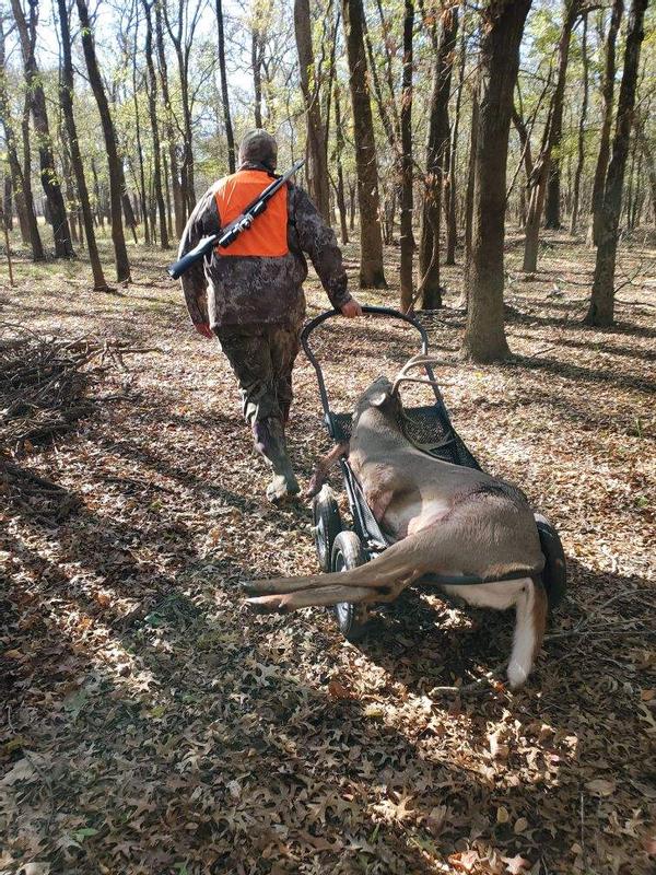 Deer Caddy  Updates, Photos, Videos
