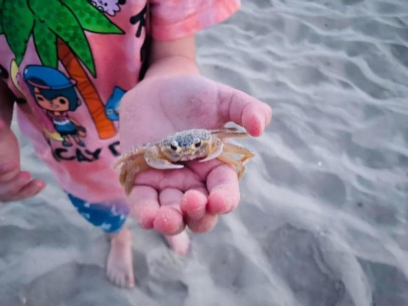 Review Thumbnail Image 0 209955159