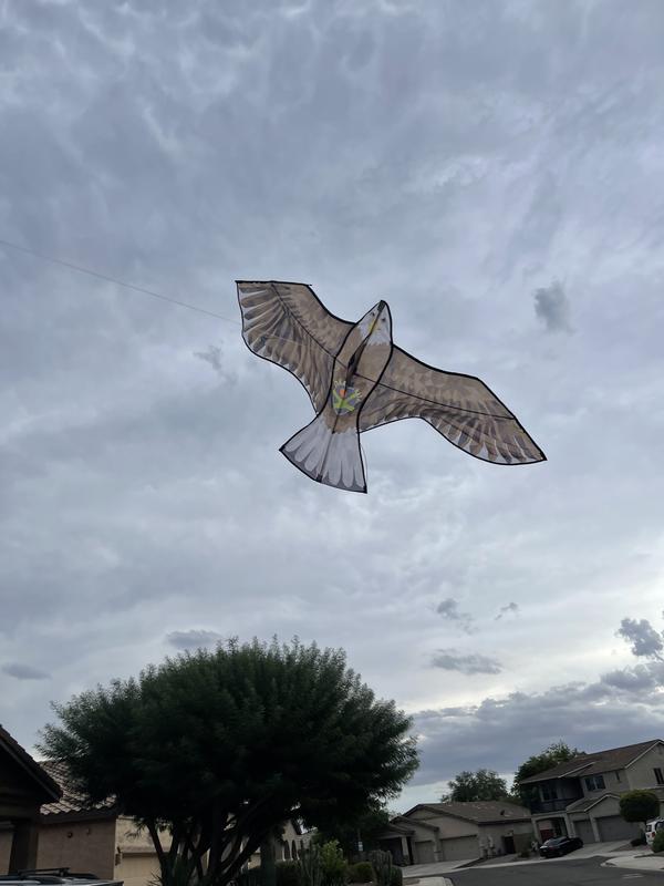 Review Thumbnail Image 1 217632125