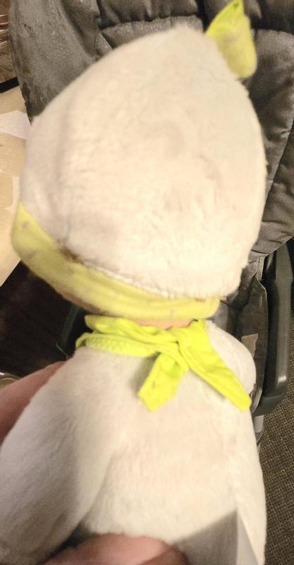 Customer photo for "Cuddly"