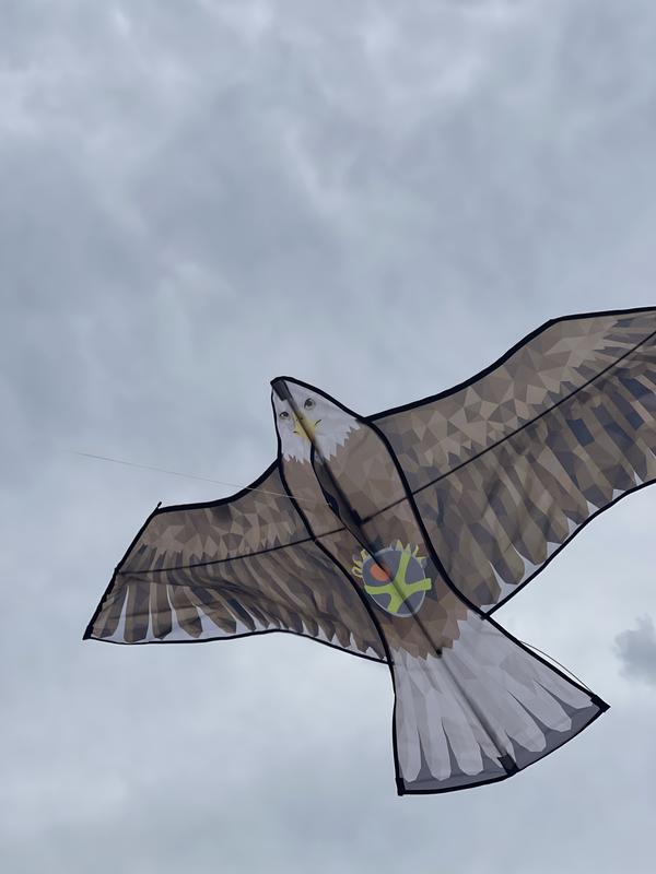 Review Thumbnail Image 0 217632125