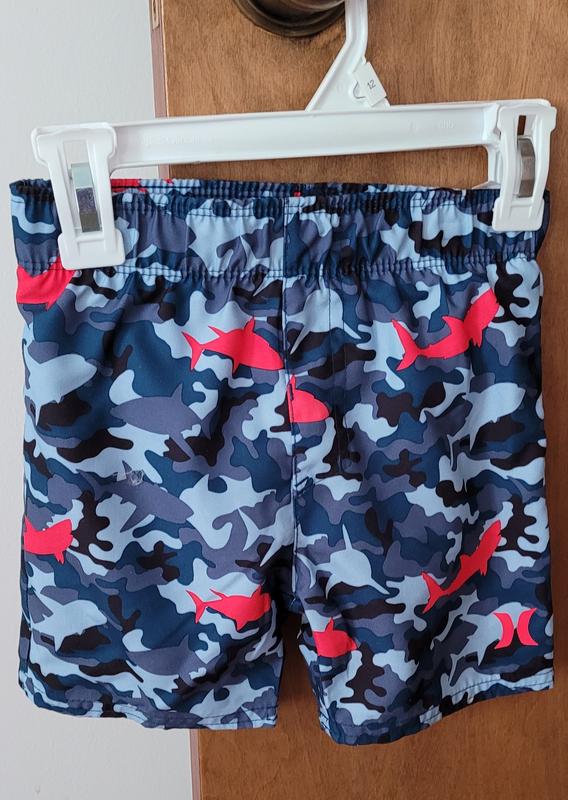 Can you see all of the sharks? Are they all red?