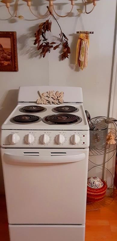 Hotpoint 24 Freestanding Electric Range with 4 Coil Burners, 2.9 Cu. Ft.  Single Oven - White