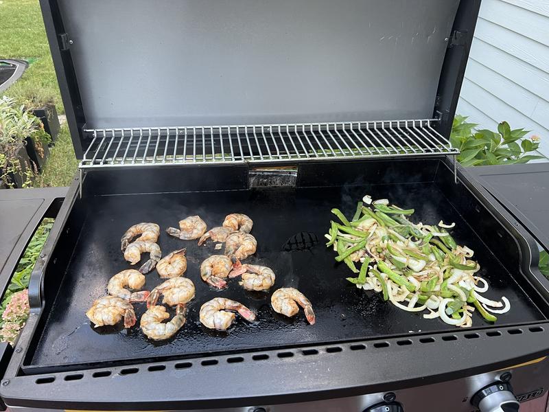 Elite2B Outdoor Griddle