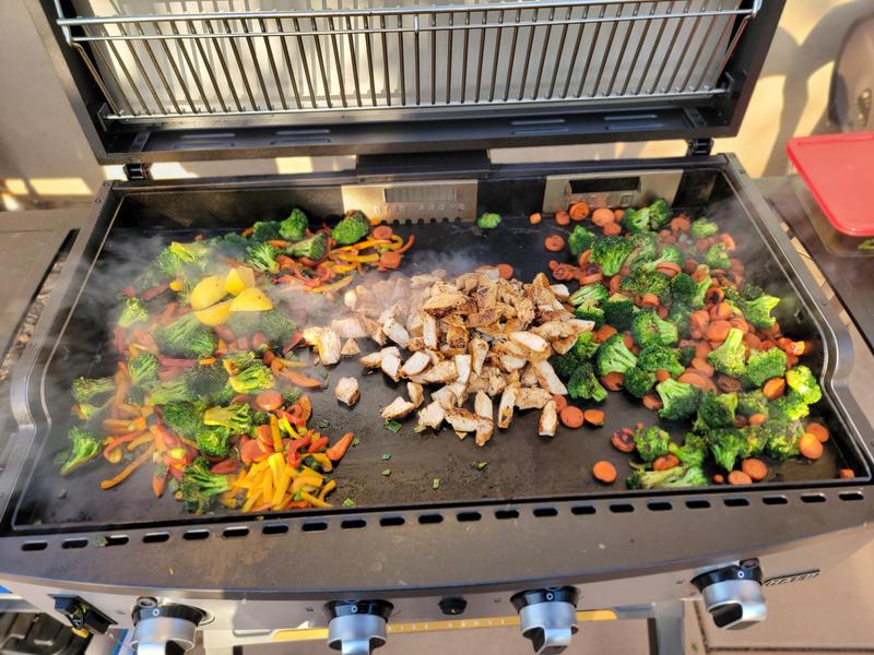 Elite2B Outdoor Griddle