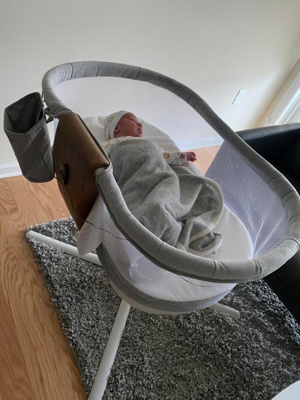 HALO® Bassinest® Luxe Swivel Sleeper in Dove Grey buybuy BABY