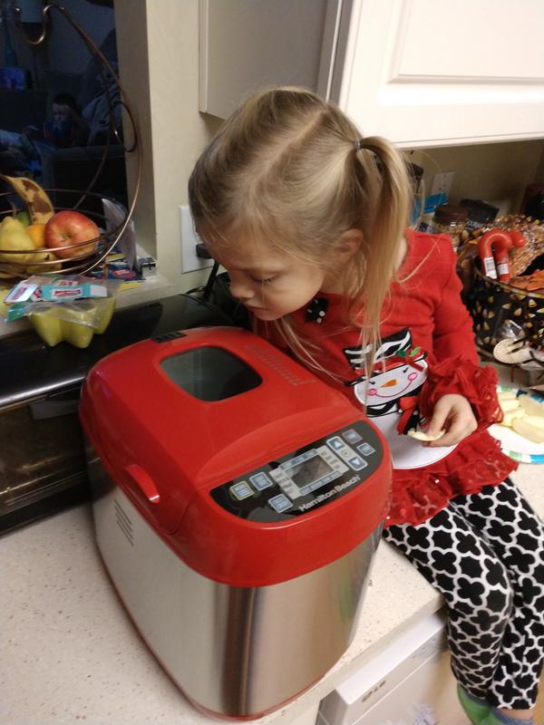 Hamilton Beach Red and Stainless Steel Stainless Steel Bread Maker in the Bread  Makers department at