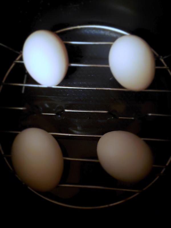 Non-Steamer Option is available. You can steam eggs!