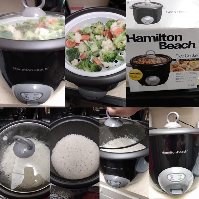 Hamilton Beach 20 Cup Capacity Rice Cooker Macys 0308