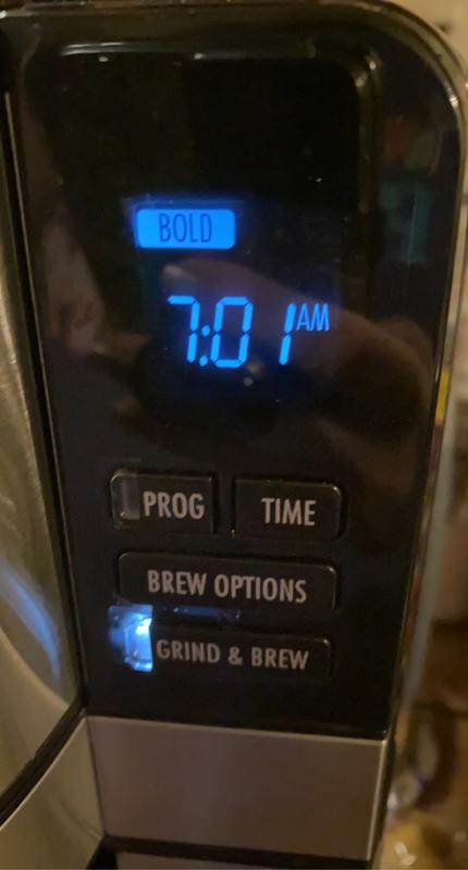 Today is a bold brewing day