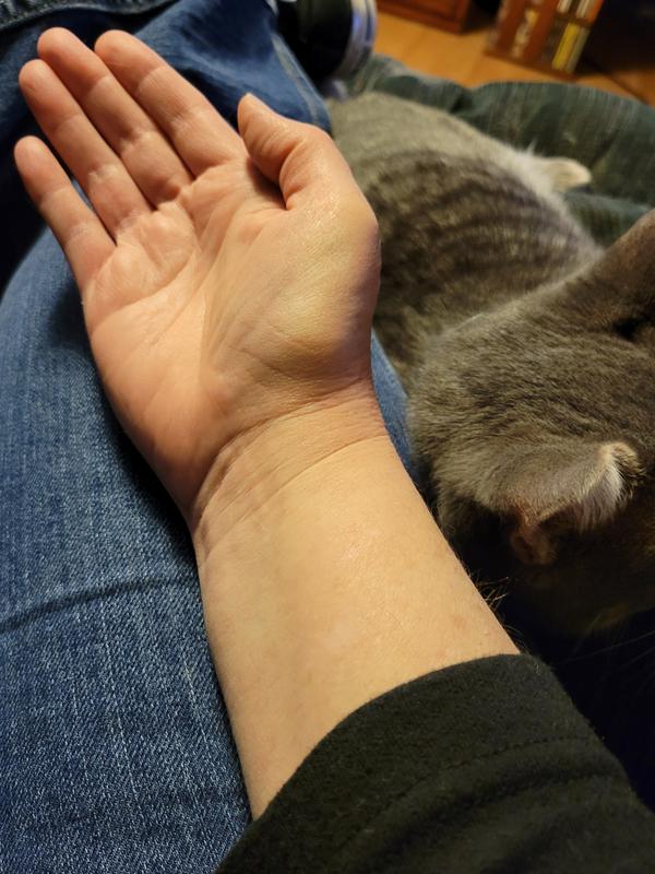 Photo submitted with review of product