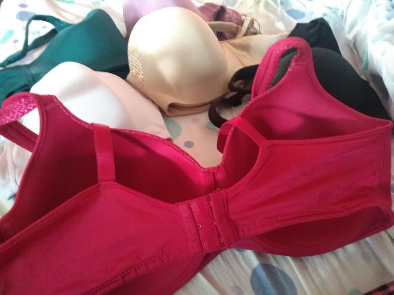 They are in many colors