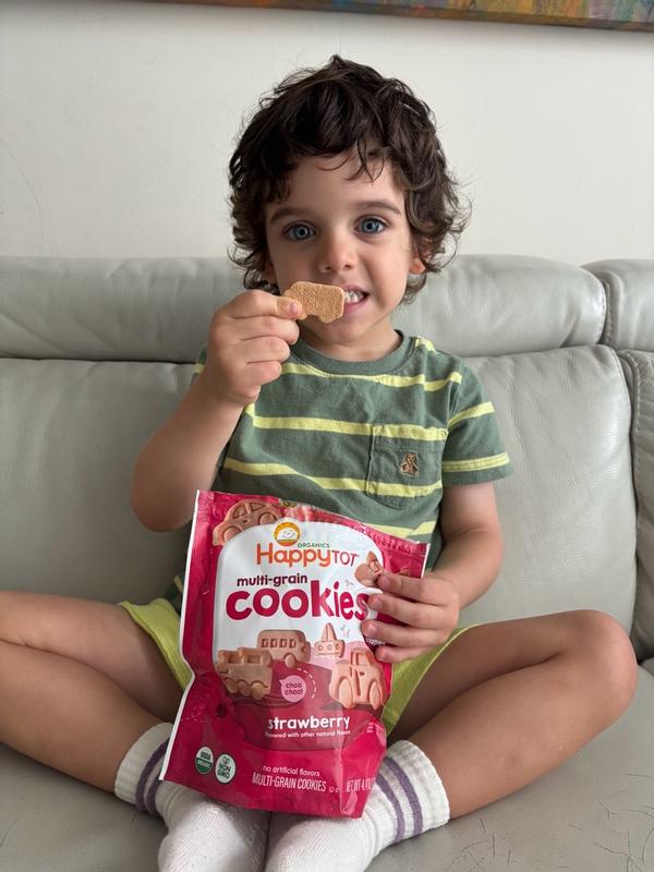 Organic Baby Food, Formula & More | Happy Family Organics